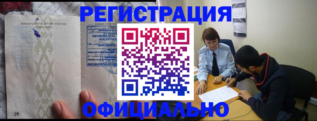 прописка поиск в Камышине